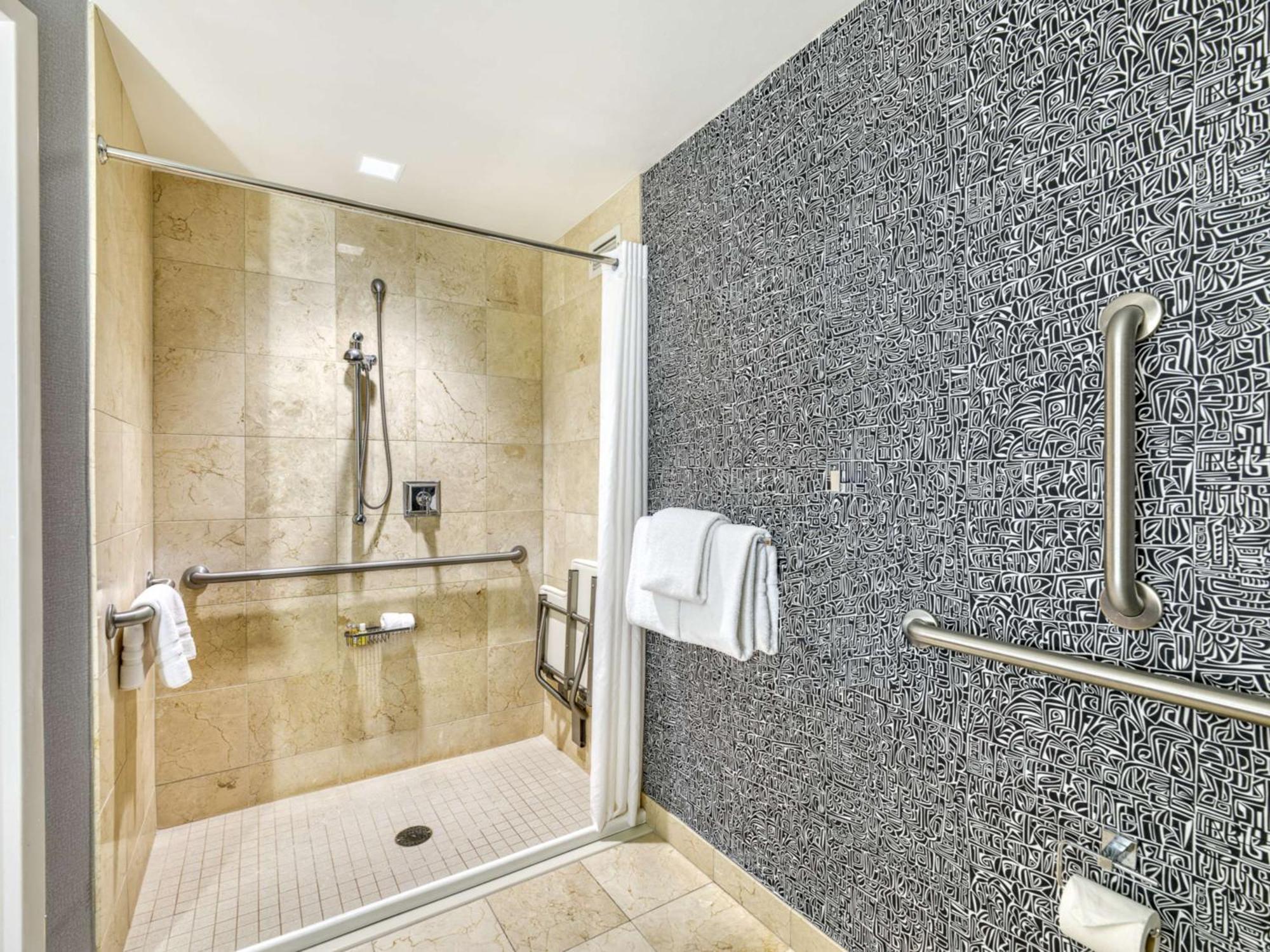 Deluxe King Mobility Accessible Roll Shower