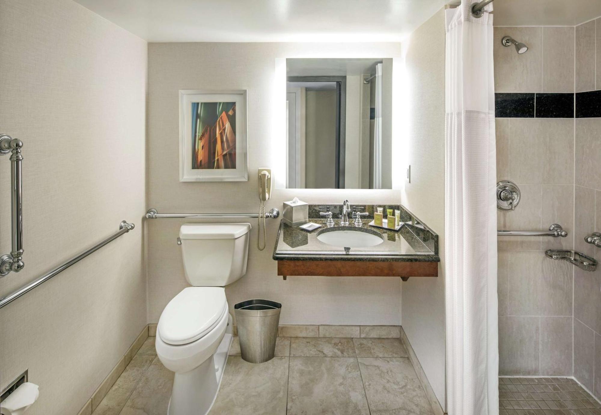 King Room Roll Shower Mobility Access